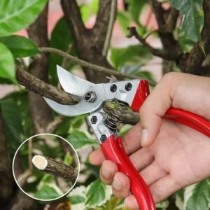 Garden Pruning Shears
