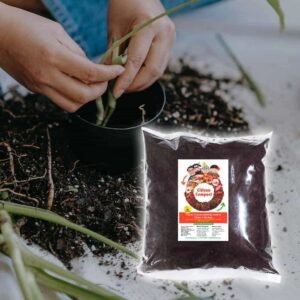 Organic Compost