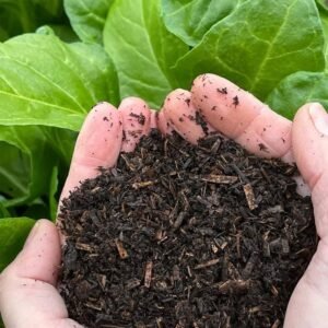 Organic Plant Fertilizer