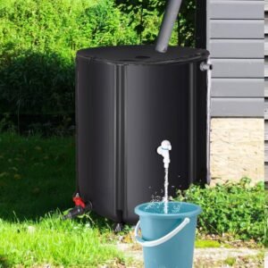 Rain Barrel Collector