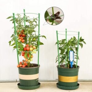 Tomato Cage Support