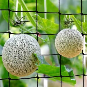 Plant Climbing Net