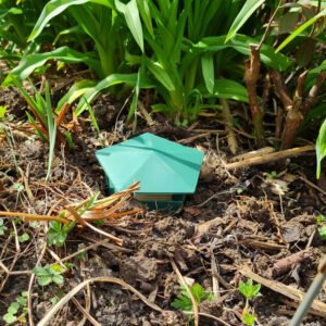 Slug and Snail Trap